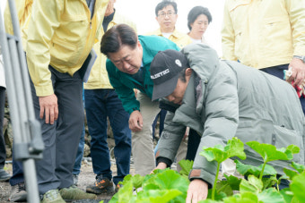 제주, 농작물 집중호우·강풍 피해 점검...방제·기술 지원
