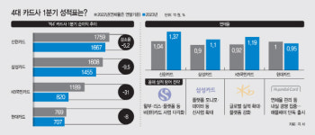 빅4 카드업계 역성장…신한·현대·삼성, 신사업·건전성 강화로 선방