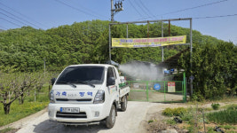 문경시, 구제역 확산 방지를 위한 방역 강화