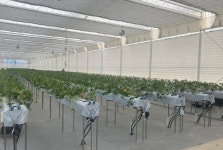 순천, 청년농업인 위한 경영실습 임대농장 조성사업 공모 2년 연속 선정