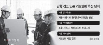 속도 못내는 아파트 리모델링…수익성 낮고 비용 부담