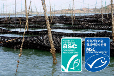 신안, 갯벌 지주식 김양식장 세계 최초 MSC·ASC 공동개발 지속가능 해조류 국제인증 획득