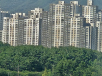 비탈면 보강공사 실시설계 지반조사(보링) - 1252 | 부산도시공사, 완공 건물 무판량 구조 조사서 '비파괴 검사' 미실시