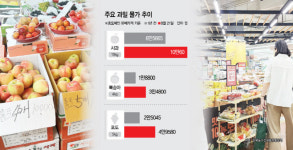 [르포] 추석 다가오는데…2배 뛴 과일값에 한숨 푹푹