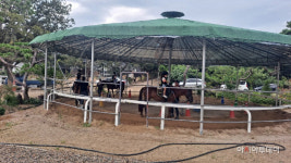 이천시 학생승마체험 9월 5일부터 9월 14일까지 온라인 모집