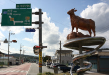 합천군 삼가면 도시재생 뉴딜사업 왁자지껄 삼가삼심 추진