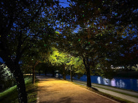 영주시 서천 가을밤, ‘반딧불이’로 물들다