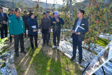 영주시, 농림축산식품부 우박피해 현장 점검