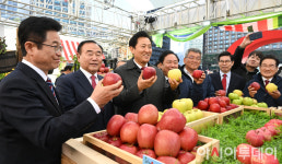 [포토] 경북사과 맛보러 서울광장으로 오세요