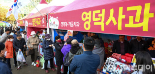 [포토] 서울광장서 맛보는 경북사과