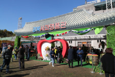 안동시, 서울시청 광장에서 안동사과 홍보행사 개최
