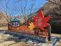 정읍시, 내장산 국립공원 우화정 앞에 포토존 설치…단풍 형상화해 노래비 조성