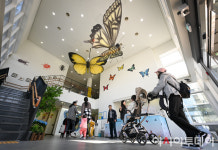 [포토] 노원구, 불암산 나비정원 재개관