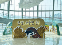 새는 왜 우리 논으로 날아오는 거죠?