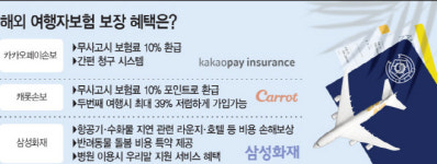 '소매치기·항공기 지연 우려된다면'…내게 맞는 여행자보험은 어디?