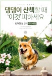 [카드뉴스] 댕댕이 산책할 때 ‘이것’피하세요… 반려견 봄 산책 ‘주의사항’