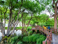 신정호 아트밸리에서 어린이 한마당 큰잔치 열린다