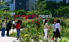 [포토] 문래동 꽃밭정원 찾은 시민들