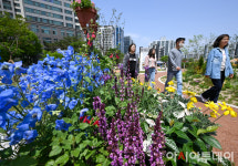 [포토] 문래동 꽃밭정원 산책하는 시민들