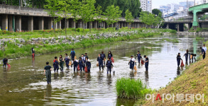 [포토] 구로구, 도림천 수질개선 정화활동
