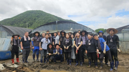 충남도의회 농해수위-사무처, 금산 깻잎농가 수해복구 지원