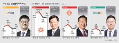 [마켓파워] 주주가치는 커녕…폭락 유통株에 대표이사 보유주식은 0