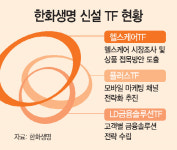 유연한 TF조직 활용 젊은 조직문화 구축하는 김동원 한화생명 사장