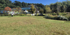 북서울꿈의숲서 음악 산책 떠나보세요