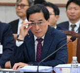 [포토] [2024국감] 국정감사 출석한 이진동 대검 차장검사