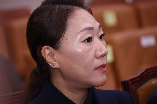 강혜경, 대검찰청 국정감사서 명태균-김 여사 폭로… 김 영선 의원 공천 의혹 언급