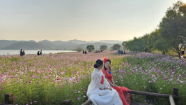 남도의 젖줄 살리자…전남도, 영산강 수질 개선에 1733억 투입
