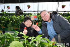 [포토] 중랑행복농장 힐링동행 딸기체험 딸기 따러 왔어요~