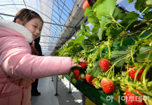 [포토] 도심 속 농부체험하는 아이들