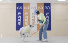 경기도 반려마루 여주 반려동물과 행복한 동행