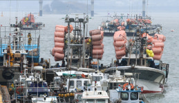 어선 ‘복원성’ 검사 확대…구명조끼 착용교육도 늘린다