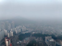 안동 산불, 시내 방면으로 확산…안동시, 주민 긴급대피 명령