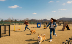 반려견과 집사가 행복한 도시, 안산