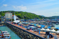 공연과 체험으로 무장한 강진 마량항 놀토수산시장 12일 개장