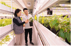 전남농기원, 민간기업과 함께 수직농장 연구개발 박차