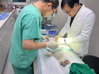순천, 공공동물병원 20일부터 전국 첫 일요일 진료 실시