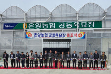 온양농협, 조합원 숙원 공동육묘장 본격 가동