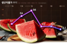 4월 생산자물가, 하락 전환…농산물·석유제품 '주효'