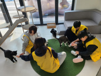 경기도 반려마루화성, 유기동물과 함께하는 청소년 여름방학 자원봉사 프로그램