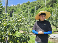 이지플·골든볼… 소비자 입맛 잡은 신품종 사과