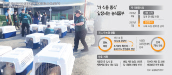 개식용종식법 시행 1년… 사육농장 10곳 중 7곳 문 닫았다