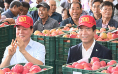 거창군, 고품질 거창사과 초매식서 최고 낙찰가 30만원 기록