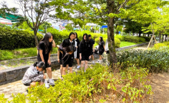 학생이 직접 가꾸는 상주여자중학교 학교숲, 관리도 교육도 ‘우수’