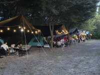 예산 청소년들 가족캠핑 명소로 등장한 태신목장