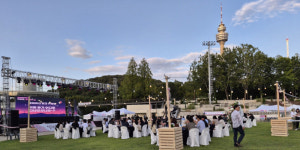 가을밤, 두류공원에서 켜진 사랑의 불빛...대구시, 미혼남녀 만남 축제 성료