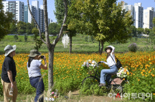 [포토] 구로구 구로가든페스타 가을 보러 오세요